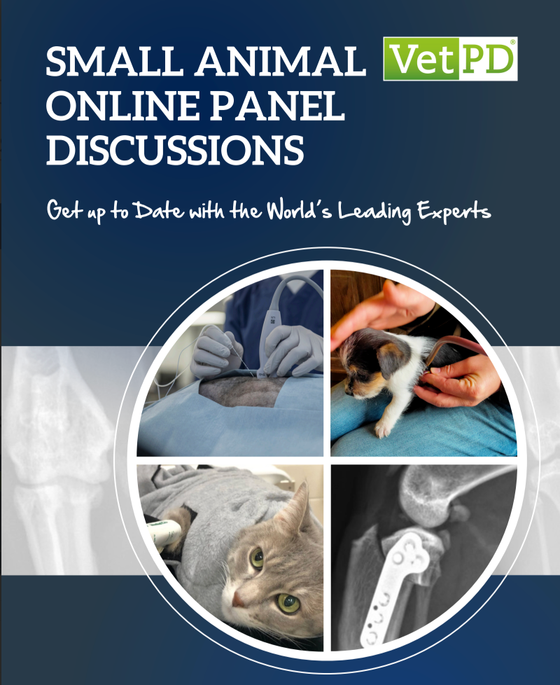 Small Animal Panel Discussion