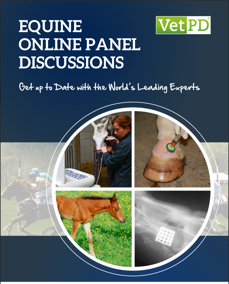 Equine Panel Discussion